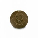 DXN Ganozhi™ Soap